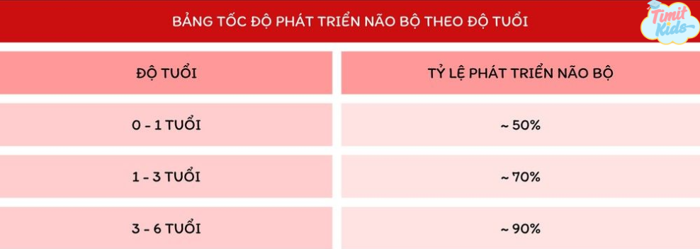 thống kê hiệu quả của giáo dục sớm