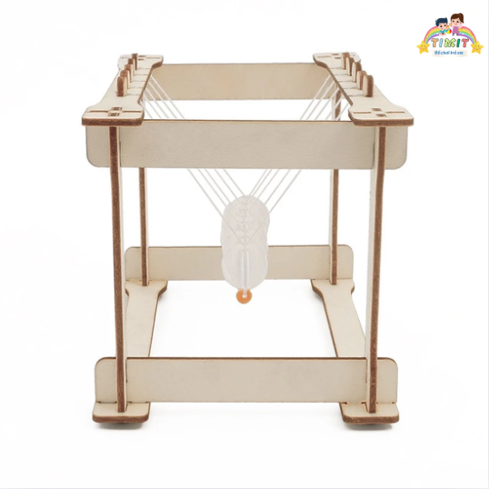 con lắc newton-TIMIT