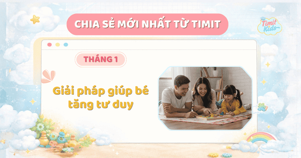Đồ chơi tư duy TIMIT