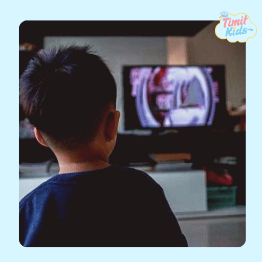 Những món đồ chơi trí tuệ TIMIT