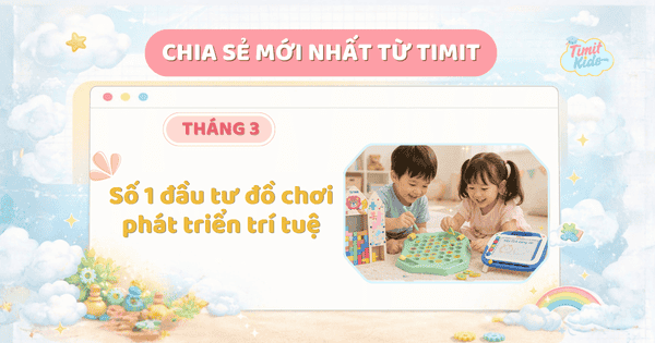 Số 1 đầu tư đồ chơi phát triển trí tuệ